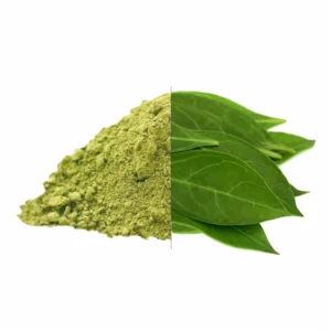 Henna Powder exporter