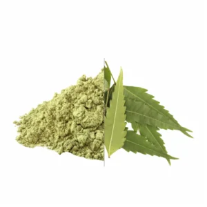 Neem Leaves Powder exporter
