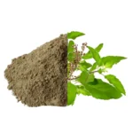 Tulsi Powder Exporter