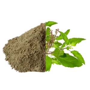 Tulsi Powder Exporter