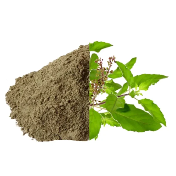 Tulsi Powder Exporter