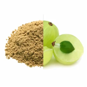 Amla Powder Exporter