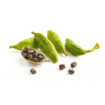 Green Cardamom exporters