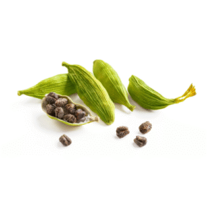 Green Cardamom exporters