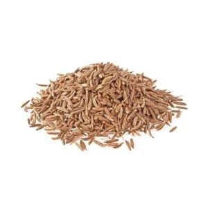 Cumin Seeds Exporter