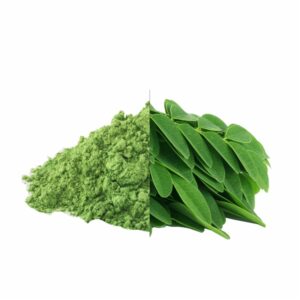 Moringa Powder Exporter