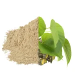 Giloy Powder
