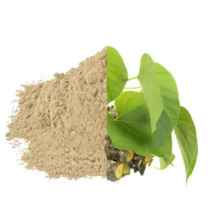 Giloy Powder